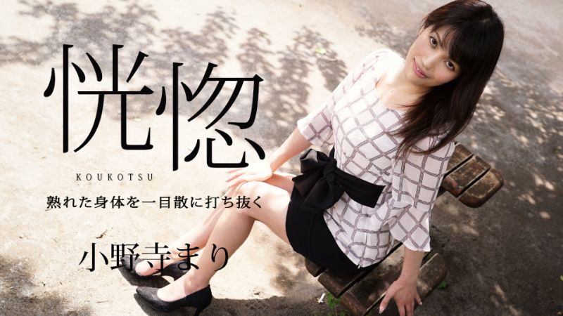 
							恍惚 〜陳熟身軀一目散地打擊〜 小野寺麻里 caribbeancom032624-001
						